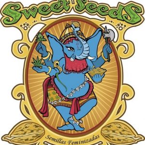 Do-Sweet-Dos Fem Sweet Seeds