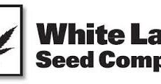White Skunk 10u. Regulares White Label