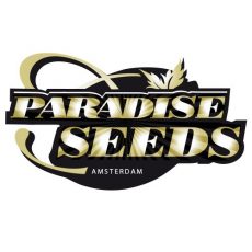 Opium Fem Paradise Seeds