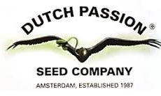 Mazar 10u. Reg Dutch Passion