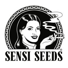 Michka Ltd 10u. Regulares Sensi Seeds