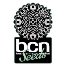 BCN Seeds