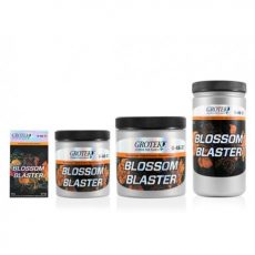 Blossom Blaster Grotek