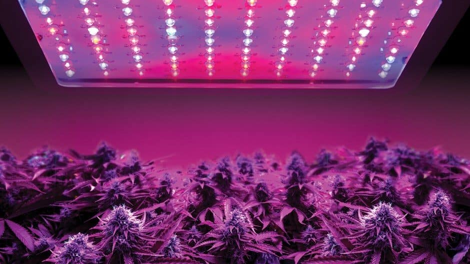 Sistema automatizado de riego y sensores en cultivo interior